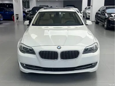 2012 BMW 5 Series 520Li Elegance, фото 3, лот 11183675