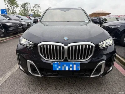 2023 BMW X5 xDrive 40Li M Sport Package, фото 2, лот 10463294