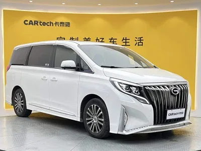 2021 GAC Trumpchi Trumpchi M8 Leading Show Series 390T Prestige Edition, фото 2, лот 11197447