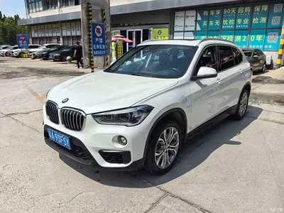 2019 BMW X1 sDrive20Li Leading Model, фото 1, лот 10464947