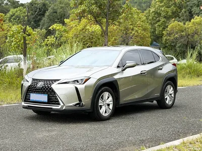 2020 Lexus UX 260h Explore Fun Edition China V, фото 1, лот 10314140