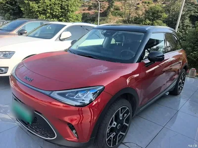 2022 smart Elf #1 Pulse Heartbeat Edition, фото 2, лот 11579949