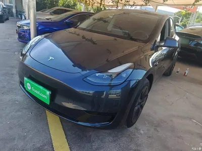 2024 Tesla Model Y Rear-Wheel Drive Version, фото 1, лот 10388241