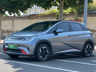 2021 Byd Dolphin, фото 1, лот 10245743