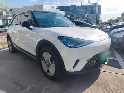 2022 smart Elf #1 Pro+ Edition, фото 4, лот 10343682