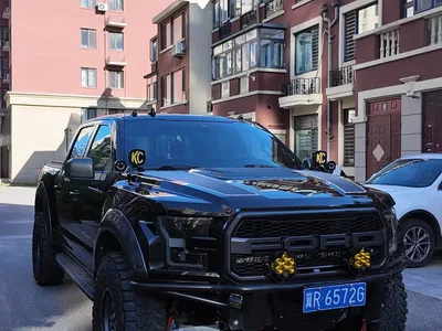 2019 Ford F-150 Raptor 3.5T Raptor Performance Enhanced Edition, фото 3, лот 10384252