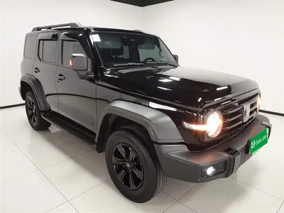 2023 Tank 300 Off-Road Edition 2.0T Conqueror, фото 4, лот 10345580