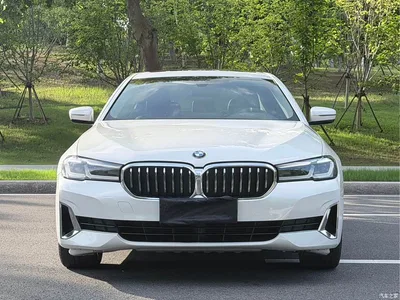 2021 BMW 5 Series 525Li Luxury Package, фото 2, лот 10443856