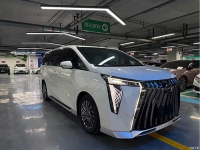 2023 GAC Trumpchi Trumpchi M8 Master Series Dual Hybrid Flagship Edition, фото 3, лот 10419687