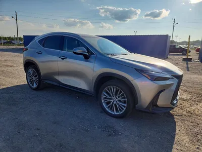 2022 LEXUS NX 350H, фото 4, лот 10662587