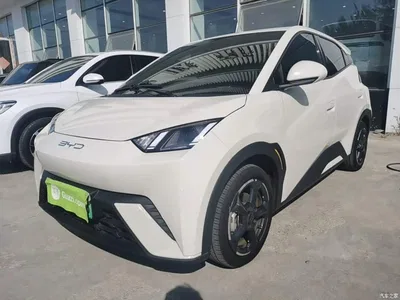 2024 BYD Seagull Glory Edition 305km Freedom Edition, фото 2, лот 10593449