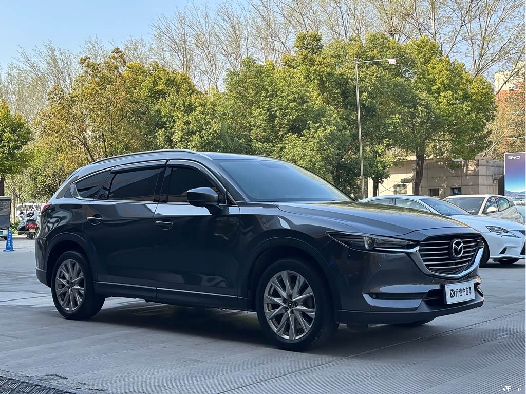 2019 Mazda CX-8 2.5L AWD Premium Model, фото 3, лот 10324212