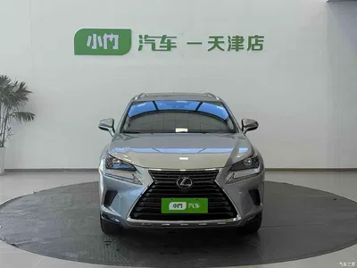2020 Lexus NX 200 AWD F Sport China V, фото 2, лот 10310951