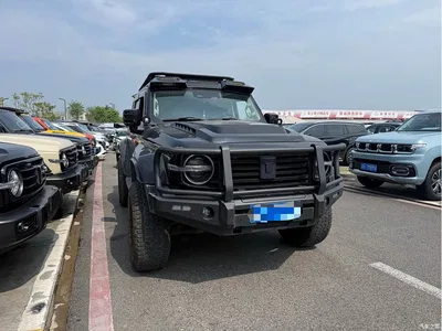 2021 Tank 300 Off-road Version 2.0T Conqueror, фото 3, лот 10345060