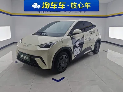 2024 BYD Seagull Glory Edition 305km Vitality Edition, фото 1, лот 10247005