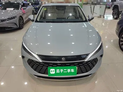 2025 BYD Qin L DM-i Smart Drive 80KM Premium, фото 3, лот 10265935