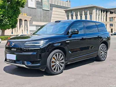 2025 Denza N9 Model Prestige Edition, фото 1, лот 10346493