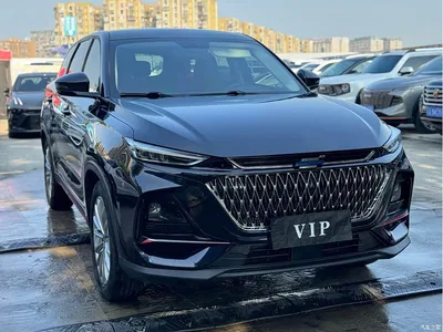 2022 Changan Oshan X7 PLUS 1.5T Blue Whale Edition Auto Luxury, фото 3, лот 10407989