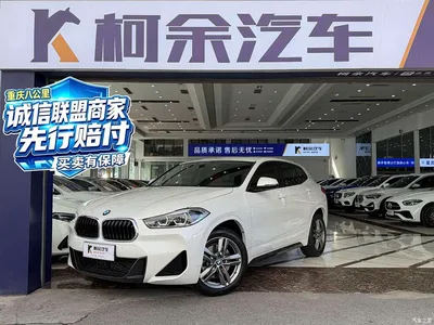 2022 BMW X2 sDrive25i M Sport Package, фото 1, лот 10399577