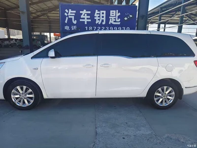 2017 Buick GL8 25S Comfort China V, фото 4, лот 10400035