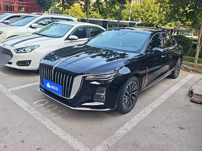 2024 Hongqi H5 2.0T Automatic Smart Connect Flag Smooth Edition, фото 1, лот 11213266