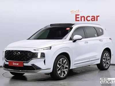 2023 Hyundai Santafe Gasoline 2.5T 4WD, фото 1, лот 10126985