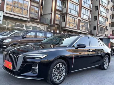 2024 Hongqi H5 1.5T DCT Smart Connect Flag Joy Edition, фото 1, лот 10360931