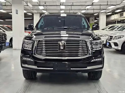 2022 Tank 500 3.0T Business Edition Zaojing 7-Seater, фото 2, лот 10344801