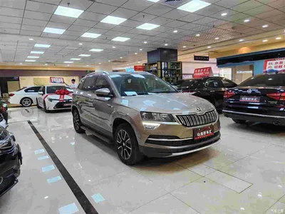 2019 Škoda Karoq TSI280 Smart Drive Premium Edition China VI, фото 3, лот 10348498