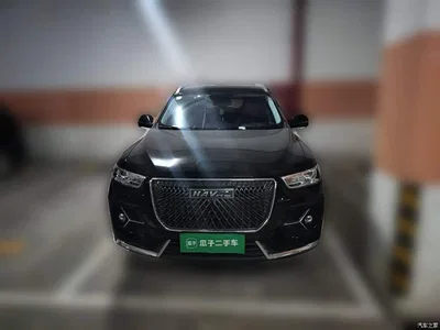 2020 Haval H6 1.5GDIT Automatic Platinum Champion Edition, фото 2, лот 10390095