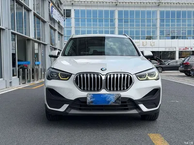 2020 BMW X1 sDrive20Li Fashion Model, фото 2, лот 10887331