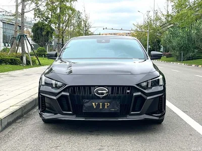 2024 GAC Trumpchi Trumpchi Emkoo Model 270T DCT Shadow Leopard S Edition, фото 2, лот 11522479