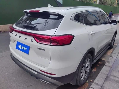2021 Haval H6 National Trend Edition 1.5GDIT Automatic Champion Edition, фото 3, лот 11585364