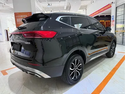 2021 Haval H6 National Trend Edition 1.5T Automatic Urban Edition, фото 4, лот 10282245