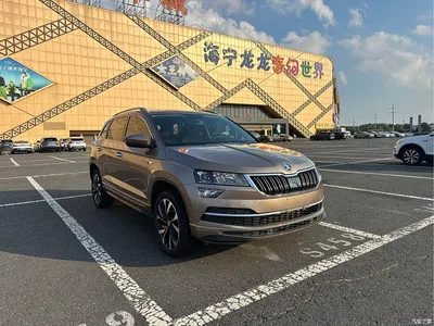 2022 Škoda Karoq TSI280 Luxury Edition, фото 2, лот 10348454