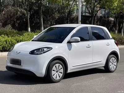 2024 Wuling Motors Wuling Bingo 203km Lite Edition, фото 1, лот 10371839