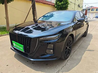 2025 Hongqi H5 1.5T DCT Mystic Shadow 2 Million Edition, фото 2, лот 10360533