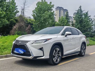 2016 Lexus RX 300 4WD Elegance Edition (China V), фото 1, лот 10316375