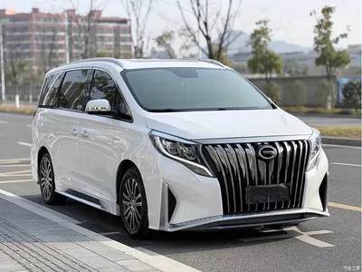 2021 GAC Trumpchi Trumpchi M8 Master Series 390T Prestige Edition, фото 3, лот 10418440
