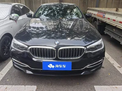 2020 BMW 5 Series 530Li Leading M Sport Package, фото 2, лот 11204780