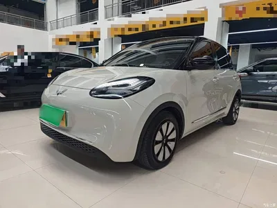 2023 Wuling Motors Wuling Bingo 203km Comfort Version, фото 1, лот 11132205