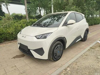 2025 BYD Seagull Smart Drive Edition 305km Vitality Version, фото 1, лот 10260274