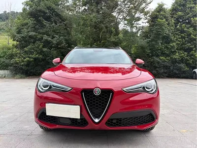 2017 Alfa Romeo Stelvio 2.0T 200HP Elite, фото 2, лот 10889148