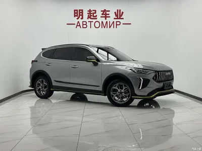 2022 Haval Chitu Power Edition 1.5T Purple Copper Rabbit, фото 2, лот 11569654