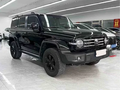2023 Tank 300 Urban Edition 2.0T Very Stylish, фото 3, лот 11212481