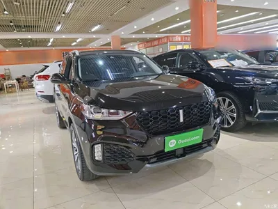 2019 WEY VV6 2.0T 2WD Ultra Luxury China VI, фото 4, лот 10675791