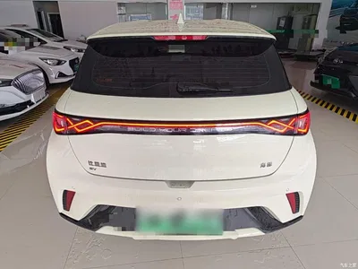 2025 BYD Dolphin 420km Freedom Edition, фото 4, лот 11017807
