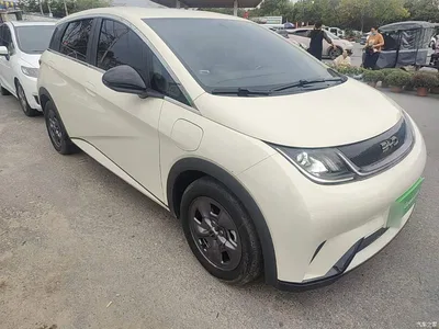 2024 BYD Dolphin Glory Edition 302km Vitality, фото 4, лот 11196605