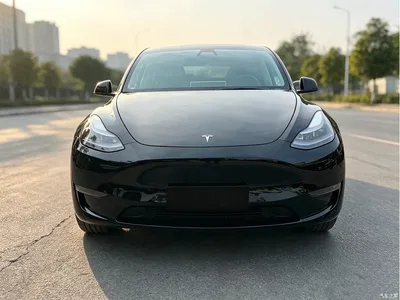 2021 Tesla Model Y Standard Range Rear-Wheel Drive, фото 2, лот 10403974