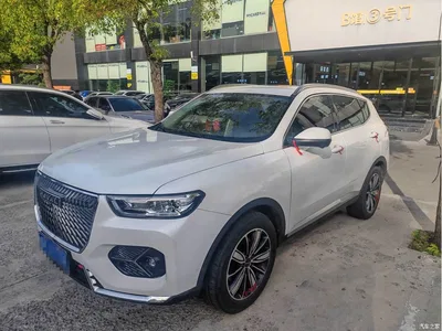 2021 Haval H6 1.5GDIT Automatic Champion Edition, фото 1, лот 10765085